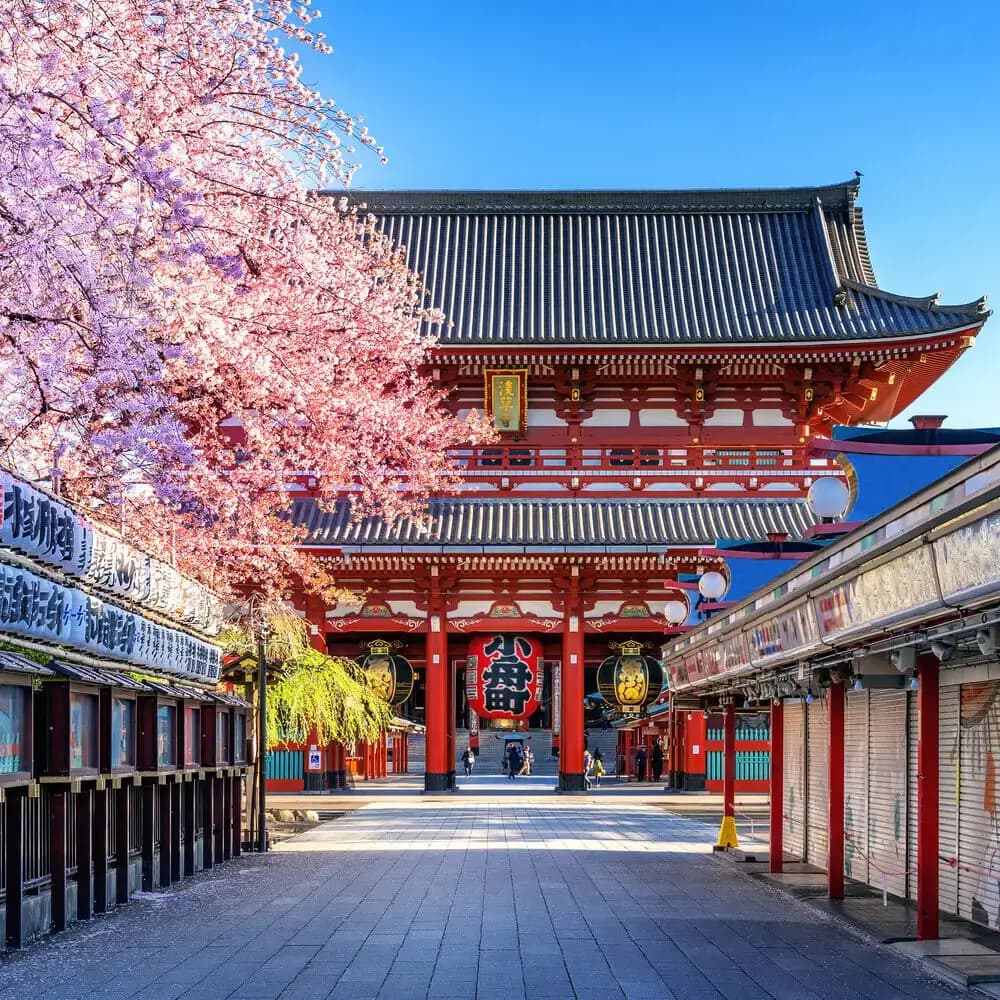 Japanese university campus